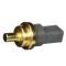 Coolant Temperature Sensor - Delphi