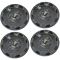 00-04 F150 (w/20 x 9in 5 Spoke Chrome Whl) ~Harley Davidson~  Logo Chrome Center Cap Set of 4 (Ford)