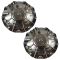 07-10 Chrysler 300 (w/18 x 7 1/2, 9 Spoke Chrome Wheel) ~Chrysler~ Loged Center Cap Pair (Mopar)