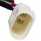 Front Power Window Motor Pair
