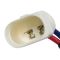 Rear Power Window Motor Pair
