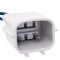 Front Rear Window Reg w Motor 4pc Set