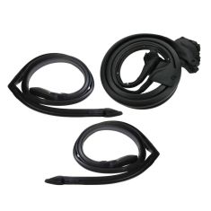 Door and Roof Rail Weatherstrip Seal Kit