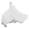 Windshield Washer Reservoir