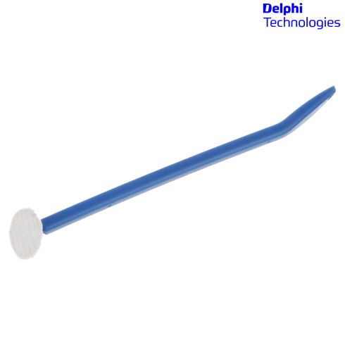 Fuel Tank Cleaning Wand - Delphi